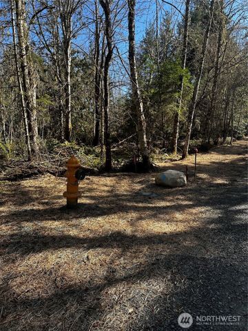 99 Lot 3 Robinson Road, Port Angeles, WA 98362