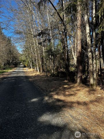 99 Lot 3 Robinson Road, Port Angeles, WA 98362
