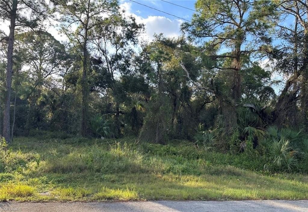 1711 Greenwood AVE, LEHIGH ACRES, FL 33972 — exterior