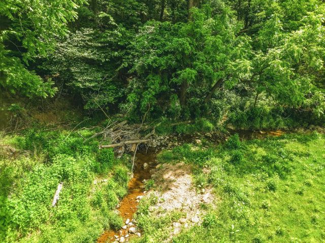0 NEWPORT RD, Shenandoah, VA 22849