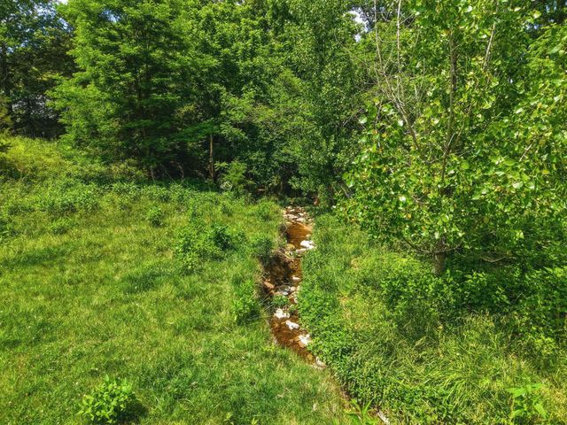 0 NEWPORT RD, Shenandoah, VA 22849