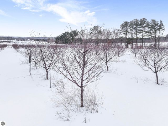 12139 Chippewa Trail, Rapid City, MI 49676