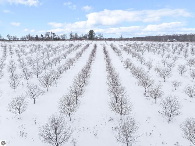 12139 Chippewa Trail, Rapid City, MI 49676