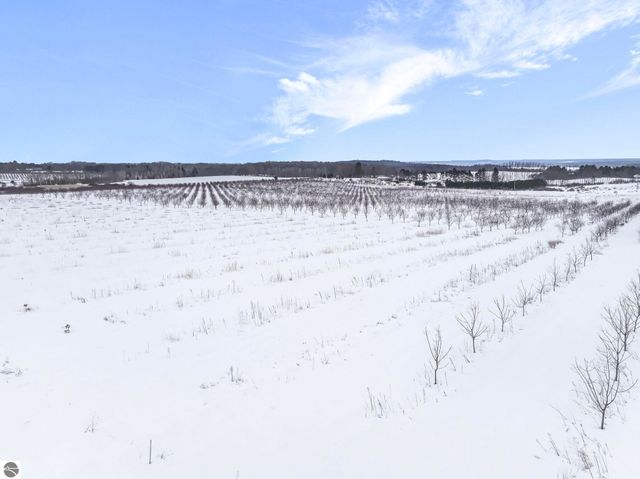 12139 Chippewa Trail, Rapid City, MI 49676