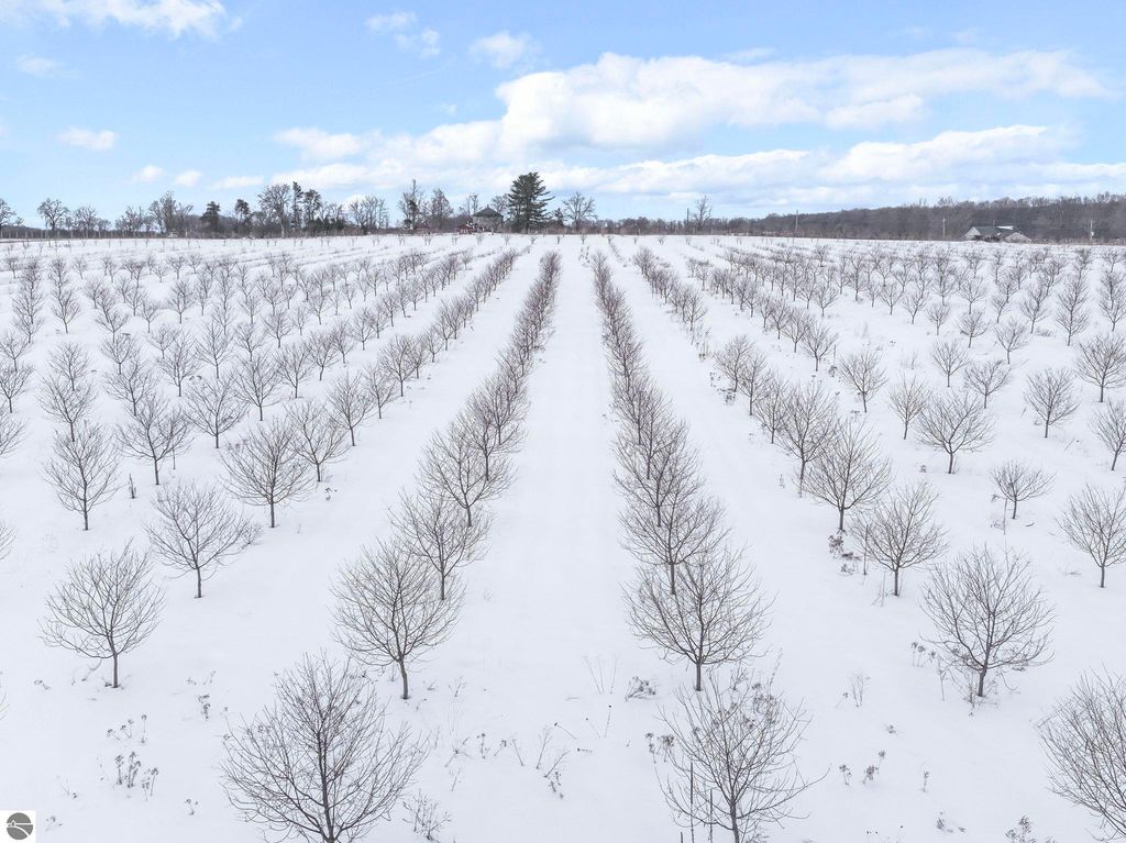 Image 5 of property listing at 12139 Chippewa Trail, Rapid City, MI 49676