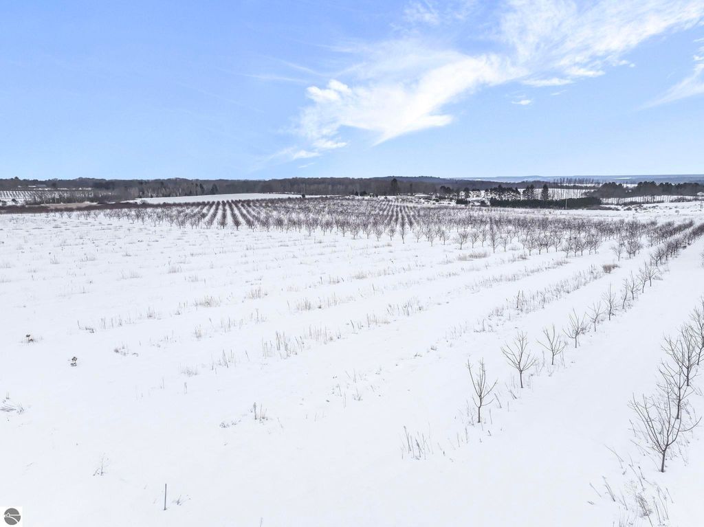 Image 6 of property listing at 12139 Chippewa Trail, Rapid City, MI 49676