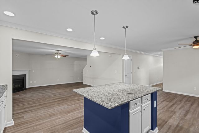 58 Mayapple Drive, Lexington, SC 29073