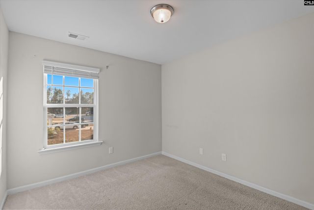 58 Mayapple Drive, Lexington, SC 29073