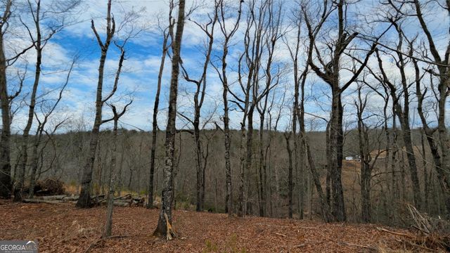 859 Mountain Ridge Drive, Dahlonega, GA 30533