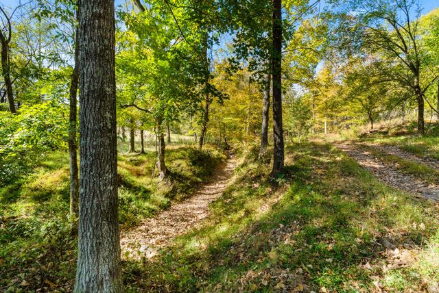 0 Budds Creek, Palmyra, TN 37142