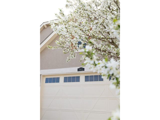 7952 E 151st Pl, Thornton, CO 80602