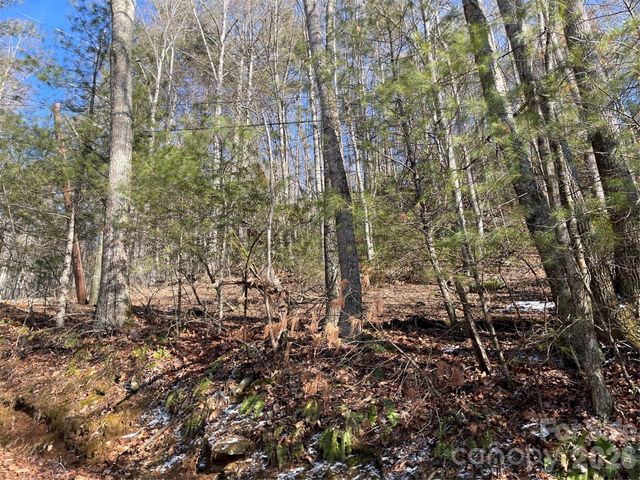 639 Conley Ridge Road, Bakersville, NC 28705