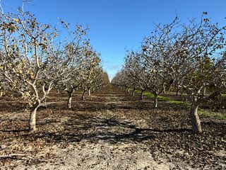 28000 W Jayne, Coalinga, CA 93210