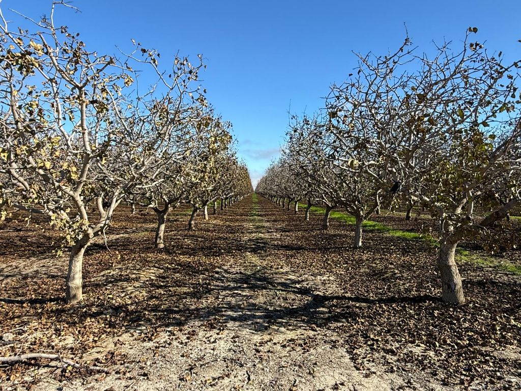 28000 W Jayne, Coalinga, CA 93210