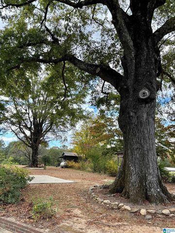 6701 OLD SYLACAUGA HIGHWAY, Childersburg, AL 35044