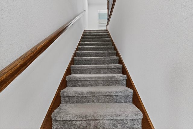 7213 Bronco Bluff, Sachse, TX 75048