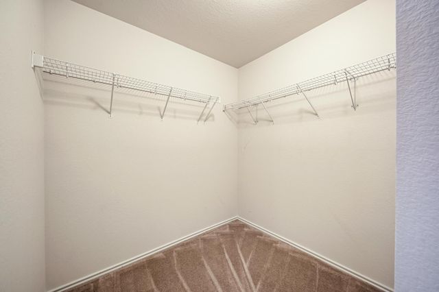 216 Wegstrom ST, Hutto, TX 78634