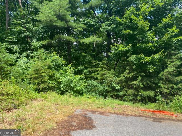 0 Sunrise Ridge LOT 28, Blairsville, GA 30512