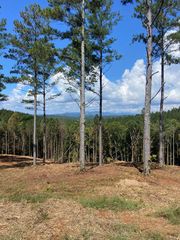 Lot 63 Lacey Springs Lane, Ellijay, GA 30540