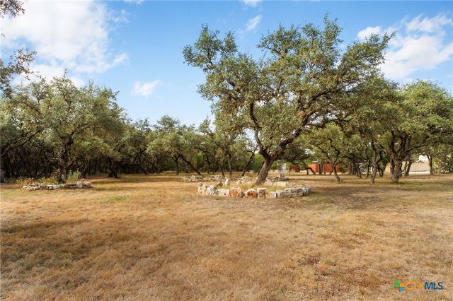 26037 Lewis Ranch Road, New Braunfels, TX 78132