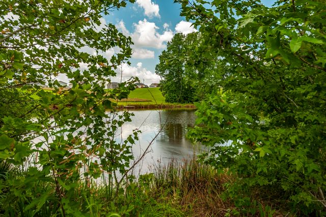 1629 Rock Bridge Rd, Bethpage, TN 37022