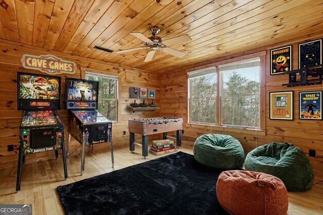 388 Palisade Drive, Ellijay, GA 30540