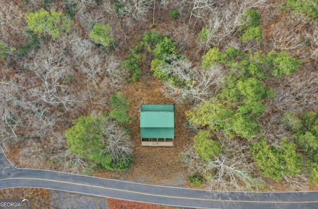 388 Palisade Drive, Ellijay, GA 30540