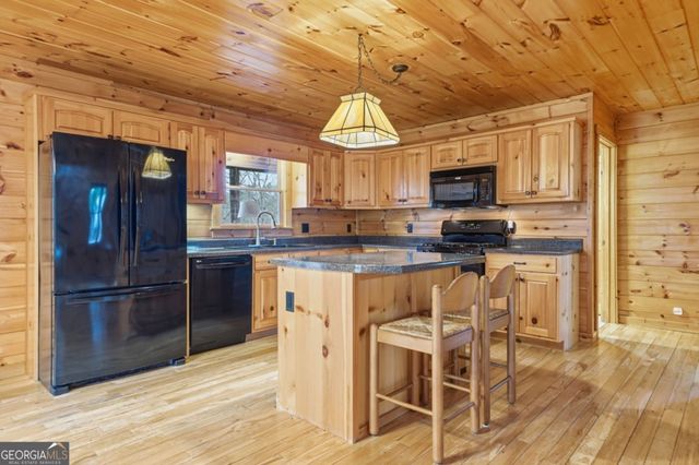 388 Palisade Drive, Ellijay, GA 30540