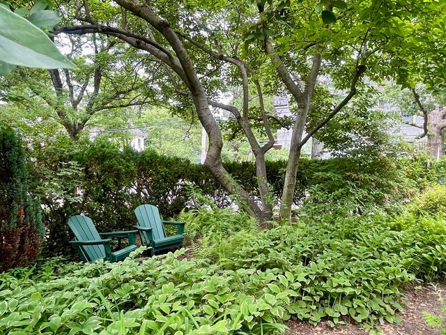 71 Abbottsford, Brookline, MA 02446