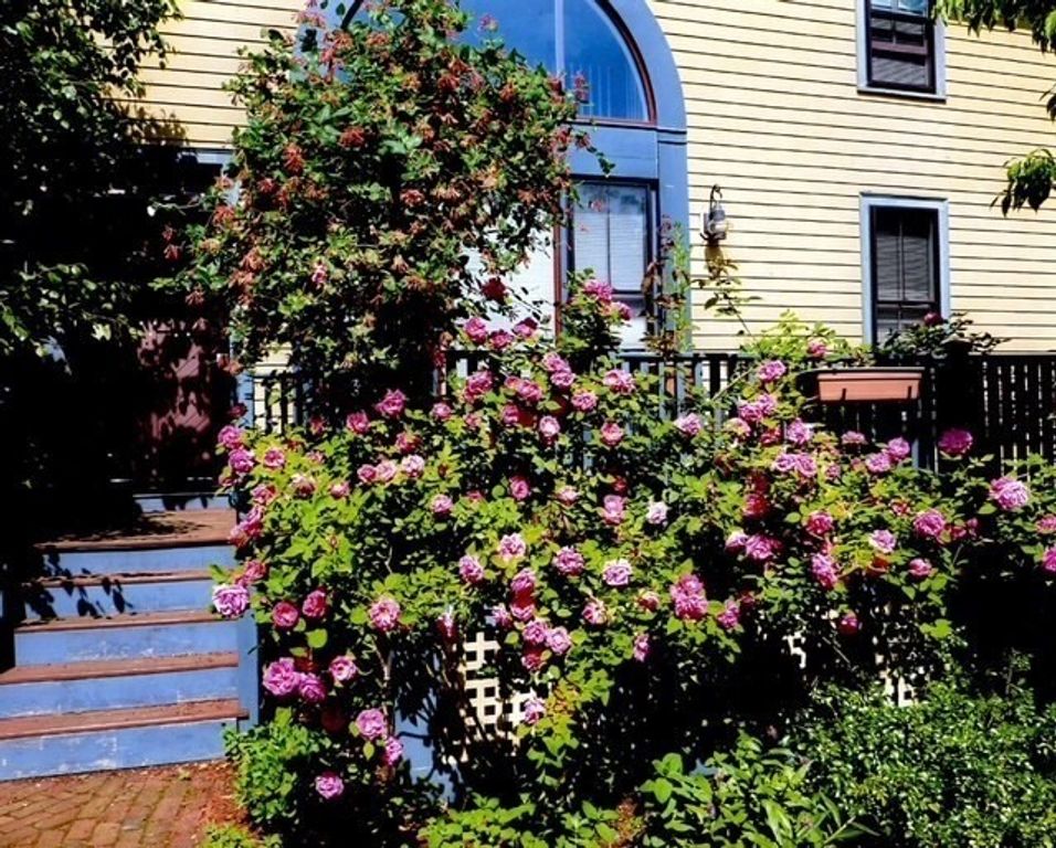71 Abbottsford, Brookline, MA 02446