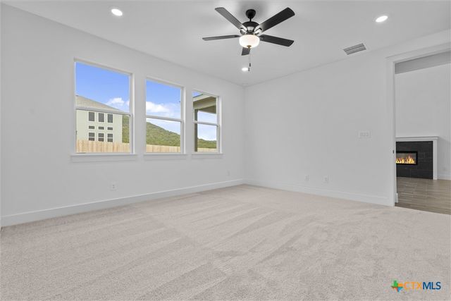 8424 Red Bottle Brush Road, Lago Vista, TX 78645