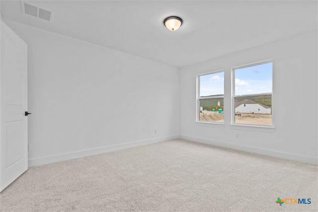 8424 Red Bottle Brush Road, Lago Vista, TX 78645