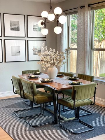 11038 Ortega Street, Frisco, TX 75035