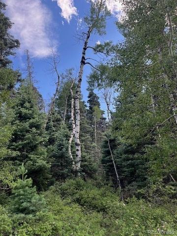 Lot 5757 Balleroy Road, San Luis, CO 81152