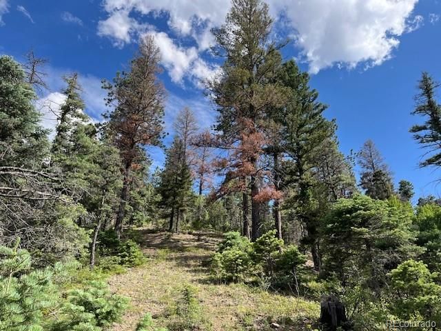 Lot 5757 Balleroy Road, San Luis, CO 81152