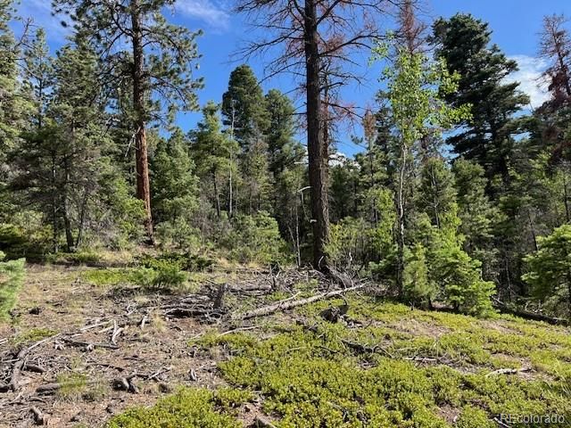 Lot 5757 Balleroy Road, San Luis, CO 81152