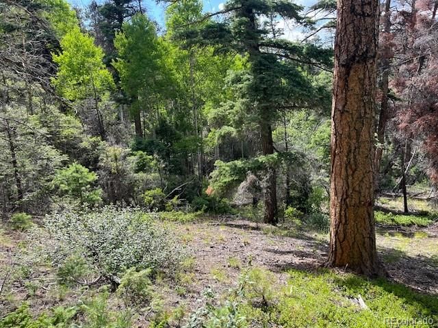 Lot 5757 Balleroy Road, San Luis, CO 81152