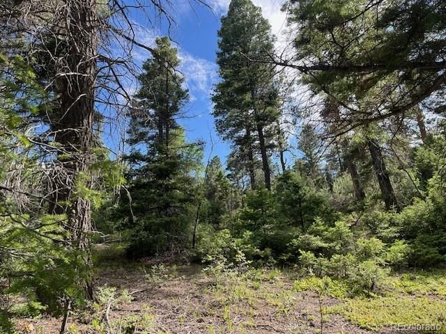 Lot 5757 Balleroy Road, San Luis, CO 81152