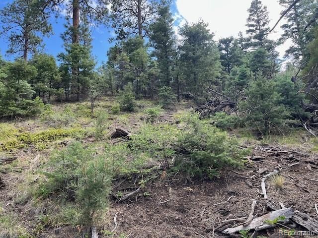 Lot 5757 Balleroy Road, San Luis, CO 81152