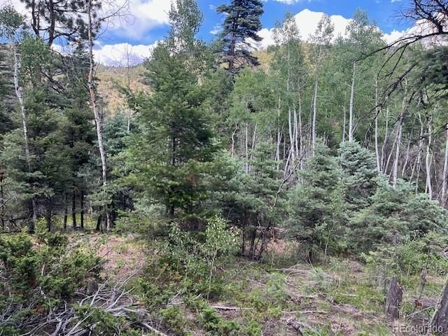 Lot 5757 Balleroy Road, San Luis, CO 81152