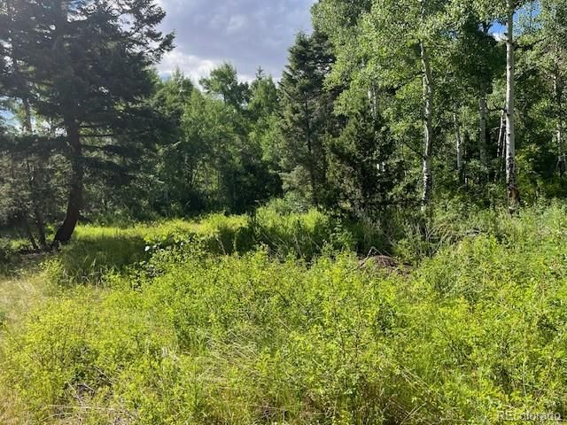 Lot 5757 Balleroy Road, San Luis, CO 81152