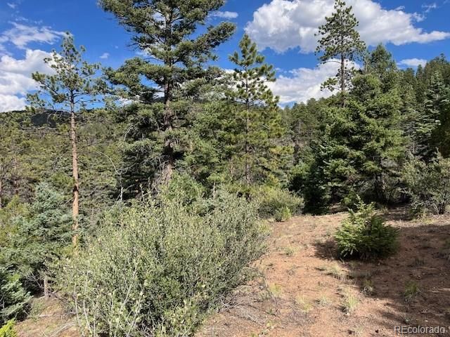 Lot 5757 Balleroy Road, San Luis, CO 81152