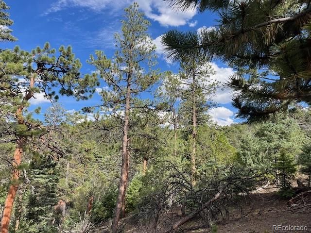Lot 5757 Balleroy Road, San Luis, CO 81152