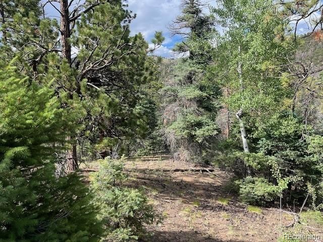 Lot 5757 Balleroy Road, San Luis, CO 81152