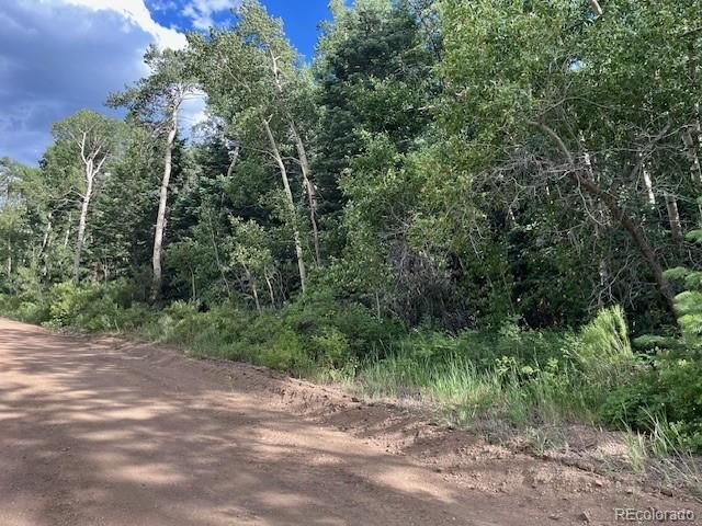 Lot 5757 Balleroy Road, San Luis, CO 81152