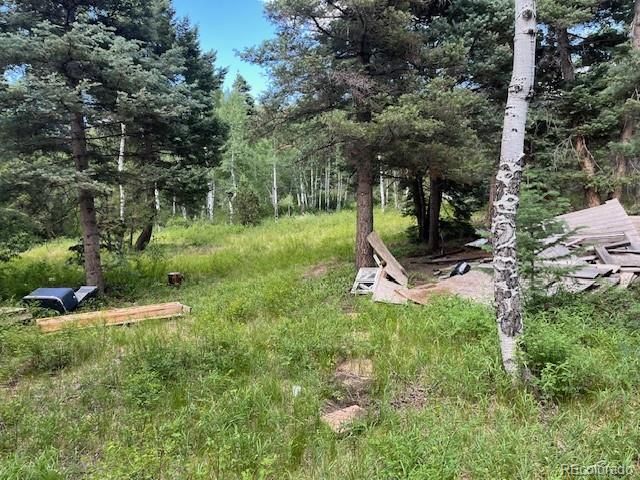 Lot 5757 Balleroy Road, San Luis, CO 81152