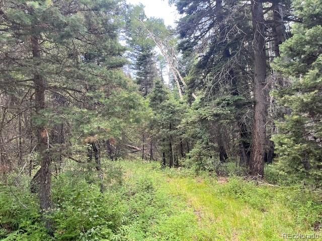 Lot 5757 Balleroy Road, San Luis, CO 81152