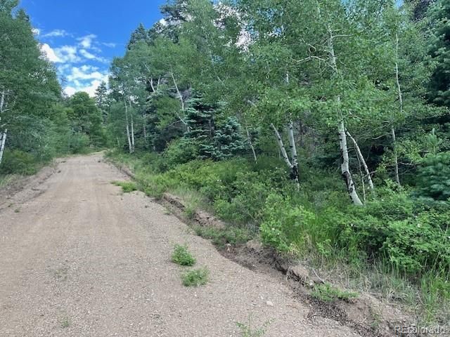 Lot 5757 Balleroy Road, San Luis, CO 81152