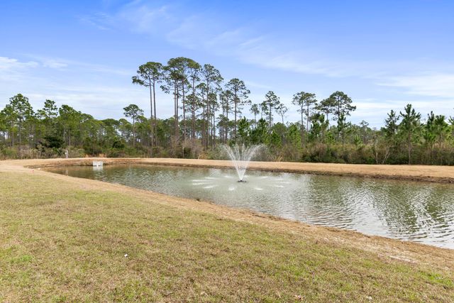142 Brizo Lane Lot 13, Santa Rosa Beach, FL 32459