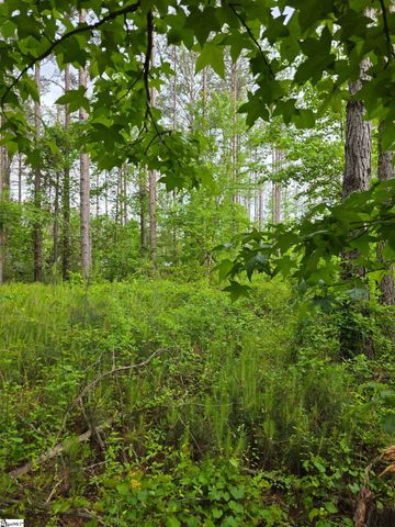 862 Dunklin Bridge Road, Fountain Inn, SC 29644